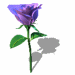 A010-035.GIF