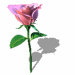 A010-034.GIF