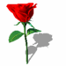 A010-031.GIF
