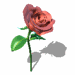 A010-028.GIF