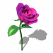 A010-027.GIF