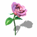 A010-024.GIF