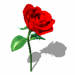 A010-021.GIF