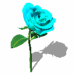 A010-020.GIF