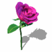 A010-017.GIF