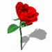 A010-011.GIF