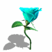A010-010.GIF
