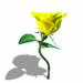 A010-009.GIF