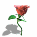 A010-008.GIF