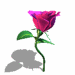 A010-007.GIF