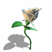 A010-006.GIF