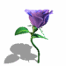 A010-005.GIF