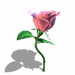 A010-004.GIF