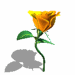 A010-002.GIF