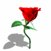 A010-001.GIF