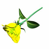 A010X099.GIF