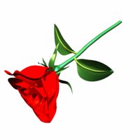 A010X091.GIF