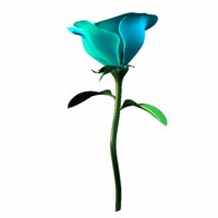 A010X090.GIF