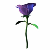 A010X085.GIF