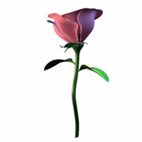 A010X084.GIF
