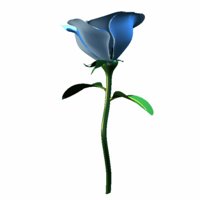 A010X083.GIF