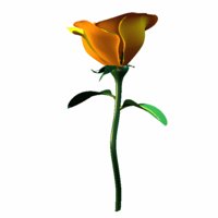 A010X082.GIF