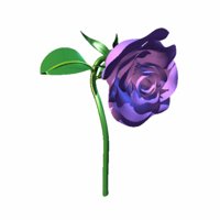 A010X065.GIF