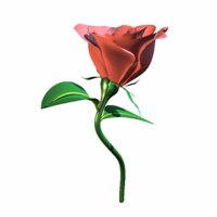A010X008.GIF