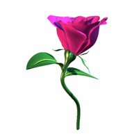 A010X007.GIF