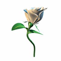 A010X006.GIF