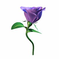 A010X005.GIF
