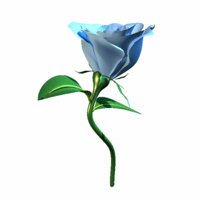 A010X003.GIF