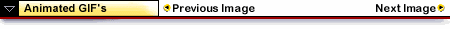 titlebar.gif
