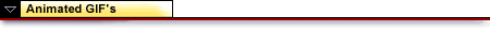 _titlebar2.GIF