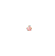 zoomlinksm_w.gif