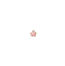 zoomlinkmed_w.gif