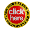 newsflashbig_w.gif