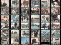 002CAT.GIF