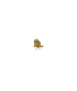 buyonline_w.gif