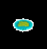 trialzoomsm.gif