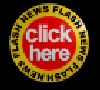 newflash2_b.gif