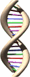 dna.gif