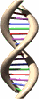 dna.gif