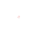 zoomsavemed_w.gif
