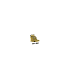 ordernow2_w.gif