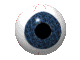 eyeball2.gif