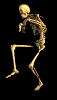 skelwalk.gif
