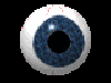 eyeball2.gif