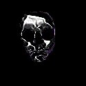 skull.gif