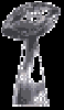 trophy_w.gif